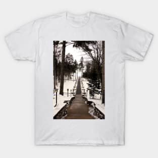 Gull Lake Winter Study 5 T-Shirt